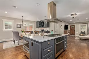 545 S Race St, Denver, CO 80209 - Photo 12