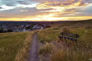 10564 Westcliff Pl, Highlands Ranch, CO 80130 - Photo 40