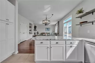 10564 Westcliff Pl, Highlands Ranch, CO 80130 - Photo 8