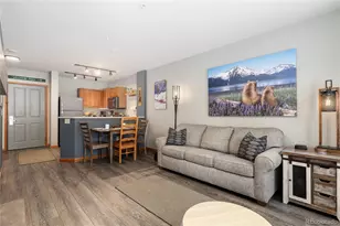 201 Zephyr Way, Winter Park, CO 80482 - Photo 4