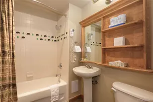 201 Zephyr Way, Winter Park, CO 80482 - Photo 18