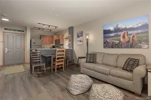 201 Zephyr Way, Winter Park, CO 80482 - Photo 8