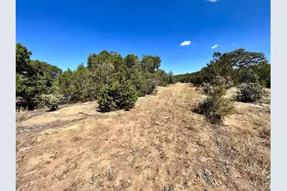 Lot 919 Los Vaqueros Circle, Walsenburg, CO 81089 - Photo 4