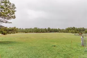 1341 Tomichi Dr, Franktown, CO 80116 - Photo 46