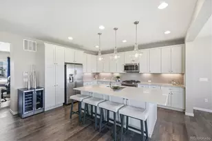 11405 Box Turtle Ct, Parker, CO 80134 - Photo 8