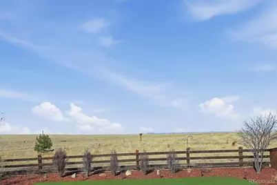 11405 Box Turtle Court, Parker, CO 80134 - Photo 40