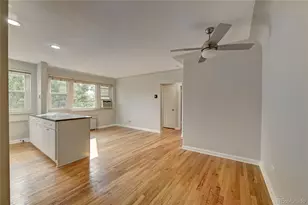 505 N Logan Street, Denver, CO 80203 - Photo 4