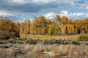 6771 W Co Rd 5n, Del Norte, CO 81132 - Photo 36