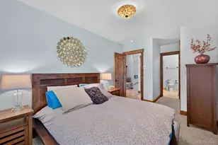 363 Lodge Pole Circle, Silverthorne, CO 80435 - Photo 22