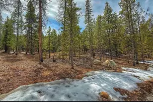 48 Mount Massive Rd, Twin Lakes, CO 81251 - Photo 1