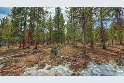 48 Mount Massive Road, Twin Lakes, CO 81251 - Photo 2
