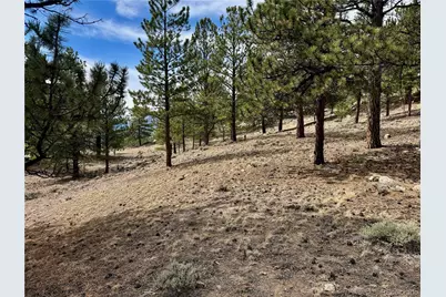 142 La Plata Peak Drive, Twin Lakes, CO 81251 - Photo 26