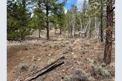 142 La Plata Peak Drive, Twin Lakes, CO 81251 - Photo 24