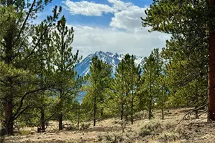 142 La Plata Peak Dr, Twin Lakes, CO 81251 - Photo 1