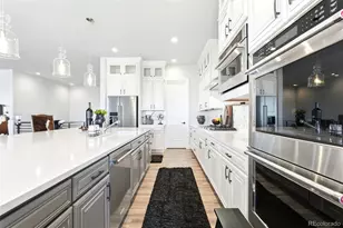 851 Alumroot St, Castle Rock, CO 80104 - Photo 16