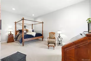 851 Alumroot St, Castle Rock, CO 80104 - Photo 22