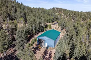 9646 Wallow Ct, Conifer, CO 80433 - Photo 48