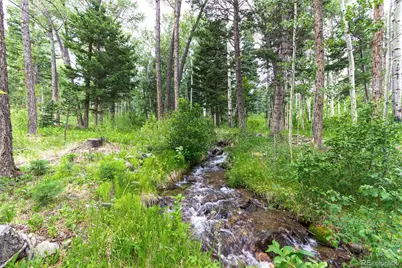 701 County Road 159, Westcliffe, CO 81252 - Photo 44