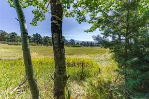 701 Co Rd 159, Westcliffe, CO 81252 - Photo 42