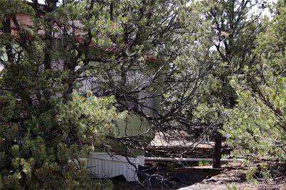 Lot 42 Monte Vista Drive, San Luis, CO 81152 - Photo 12