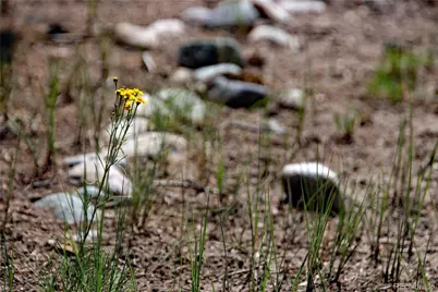 Lot 42 Monte Vista Drive, San Luis, CO 81152 - Photo 14