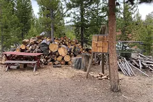803 Cr-462, Grand Lake, CO 80447 - Photo 14