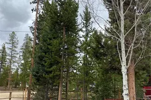 803 Cr-462, Grand Lake, CO 80447 - Photo 12