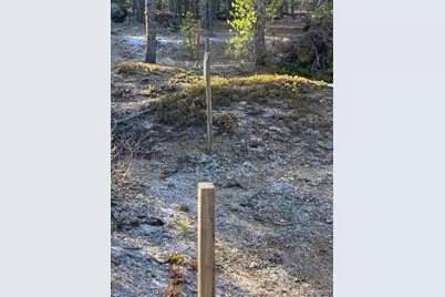 67 Lodgepole Drive, Leadville, CO 80461 - Photo 2