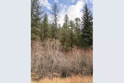 00000 S Elk Creek Road, Pine, CO 80470 - Photo 6
