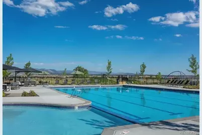 9111 Star Streak Circle, Littleton, CO 80125 - Photo 38