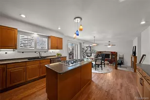 7057 Chestnut Hill St, Highlands Ranch, CO 80130 - Photo 12