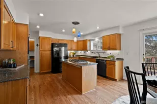 7057 Chestnut Hill St, Highlands Ranch, CO 80130 - Photo 14