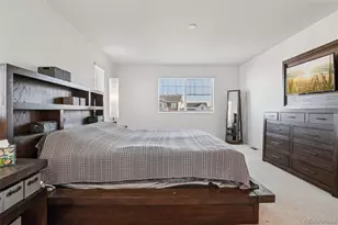 2877 Shikra Pl, Brighton, CO 80601 - Photo 30