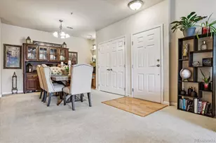 9370 Las Ramblas Ct, Parker, CO 80134 - Photo 10