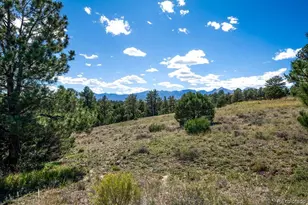 3168 Wykagyl Rd, Westcliffe, CO 81252 - Photo 8