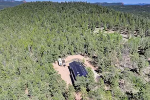 858 Forest Dr, Bailey, CO 80421 - Photo 36