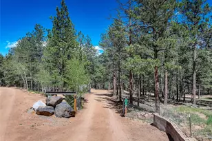 858 Forest Dr, Bailey, CO 80421 - Photo 42