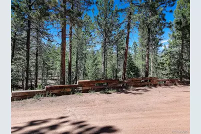 858 Forest Drive, Bailey, CO 80421 - Photo 28