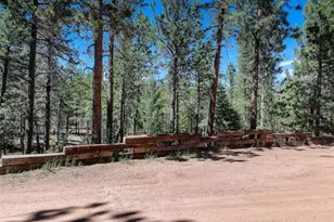 858 Forest Dr, Bailey, CO 80421 - Photo 28