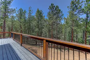 858 Forest Dr, Bailey, CO 80421 - Photo 26