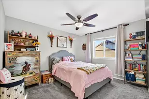 8049 Sabino Ln, Castle Rock, CO 80108 - Photo 30