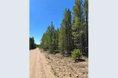 163 Co Rd 665, Fairplay, CO 80440 - Photo 10