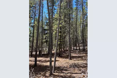 163 Co Rd 665, Fairplay, CO 80440 - Photo 8