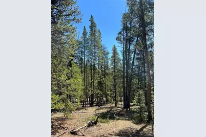 163 Co Rd 665, Fairplay, CO 80440 - Photo 6