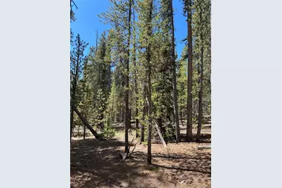 163 Co Rd 665, Fairplay, CO 80440 - Photo 4