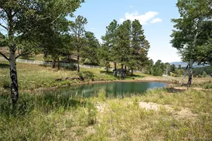 494 Thunder Rd, Evergreen, CO 80439 - Photo 44