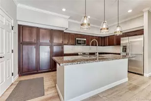 9885 Greensview Cir, Lone Tree, CO 80124 - Photo 14