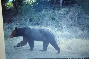 56001 Kk (1 Parcel) Rd, Molina, CO 81646 - Photo 42