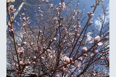 1058 Garfield Street, Denver, CO 80206 - Photo 50