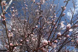 1058 Garfield St, Denver, CO 80206 - Photo 50